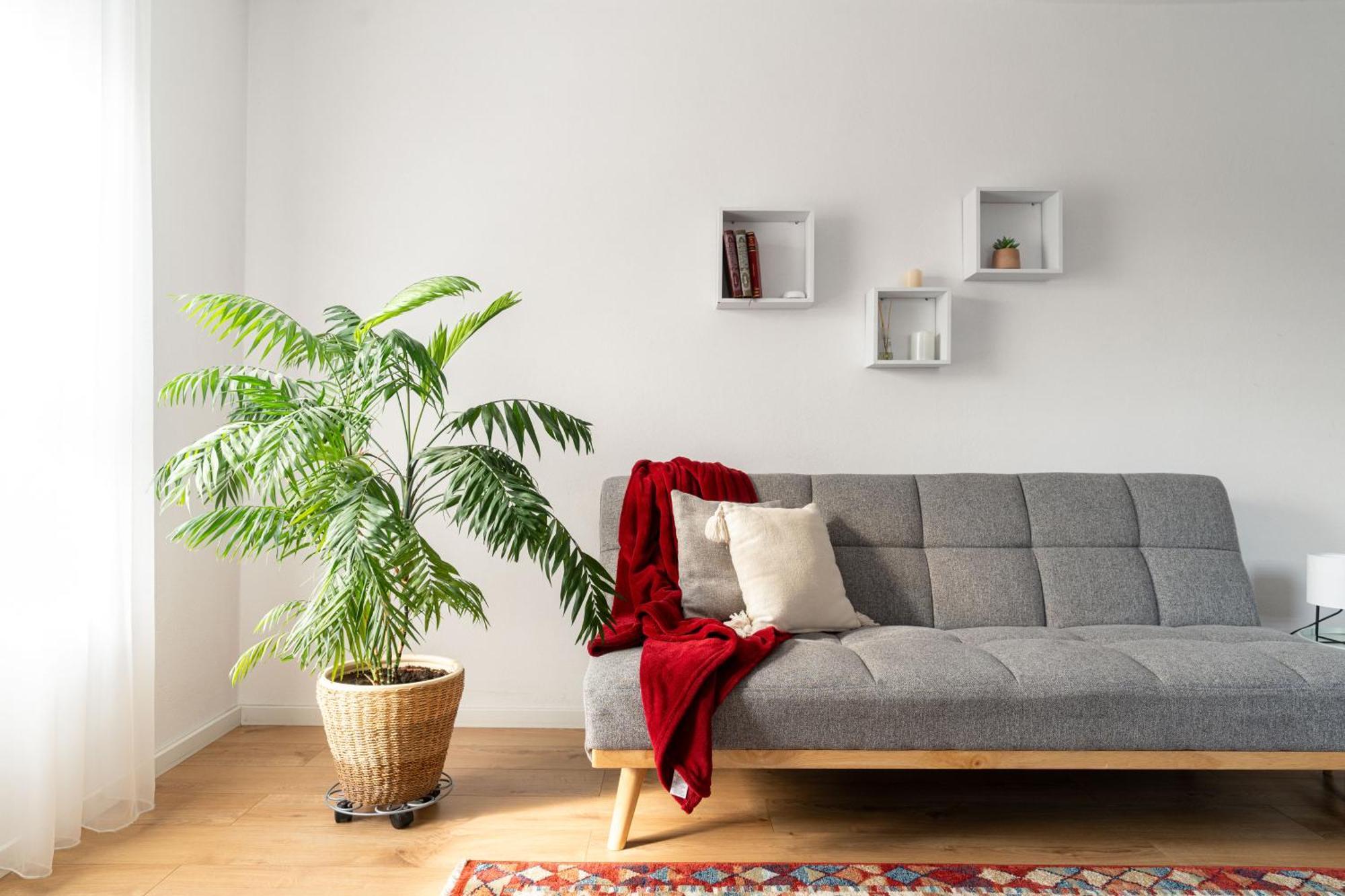 Urban Six Apartments Fagaras Exterior photo